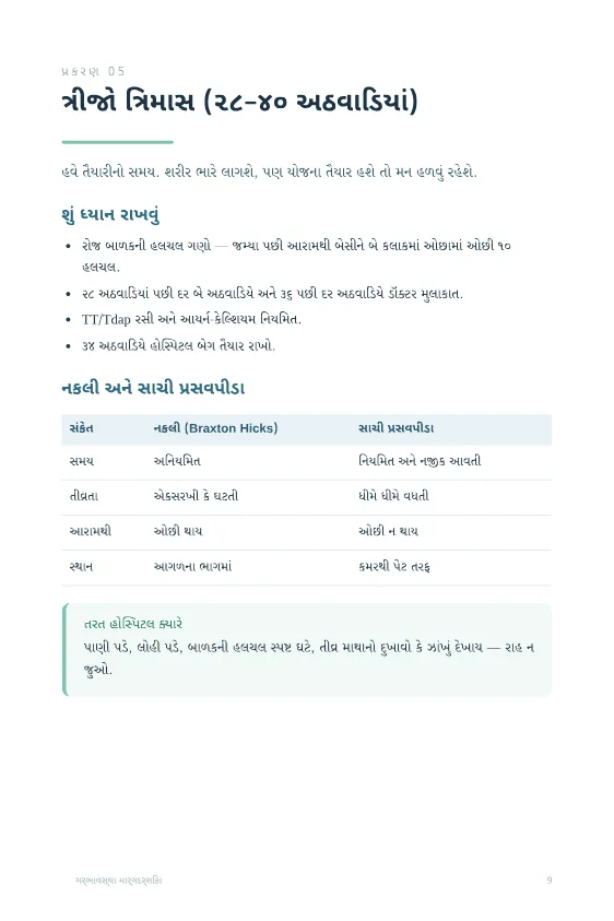 ગર્ભાવસ્થા: સંપૂર્ણ માર્ગદર્શિકા — sample page 3